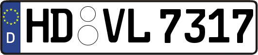 HD-VL7317