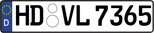 HD-VL7365