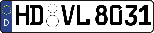 HD-VL8031