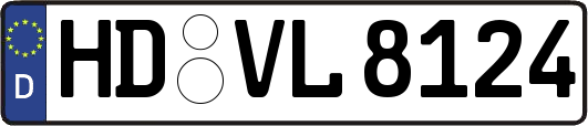 HD-VL8124