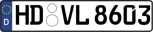 HD-VL8603