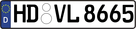 HD-VL8665
