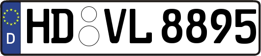 HD-VL8895