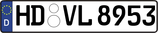 HD-VL8953