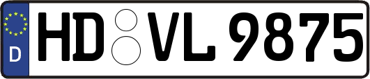 HD-VL9875