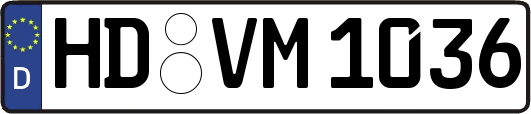 HD-VM1036