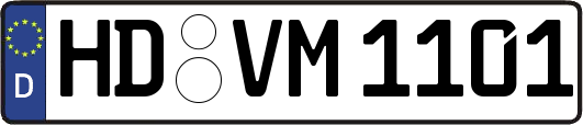 HD-VM1101