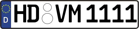 HD-VM1111