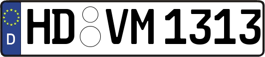 HD-VM1313