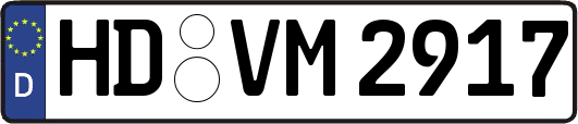 HD-VM2917