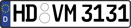 HD-VM3131