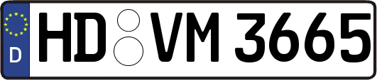 HD-VM3665