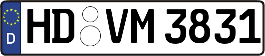 HD-VM3831