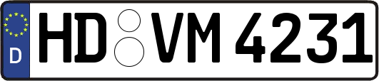 HD-VM4231
