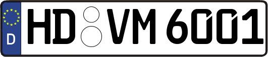 HD-VM6001