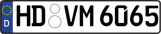 HD-VM6065