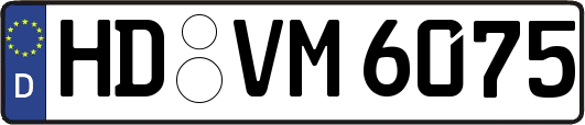 HD-VM6075