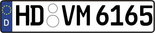 HD-VM6165