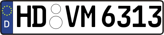 HD-VM6313