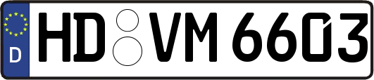 HD-VM6603