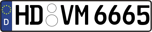 HD-VM6665