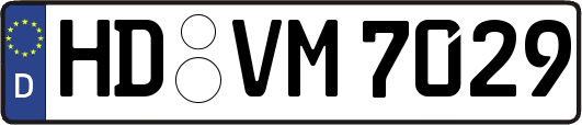 HD-VM7029