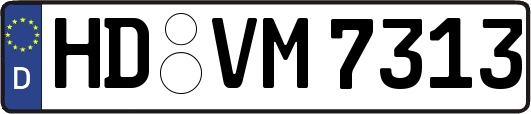 HD-VM7313