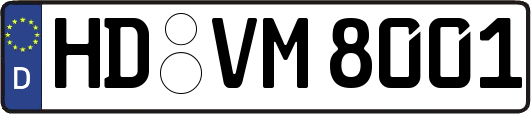 HD-VM8001