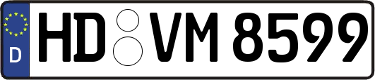 HD-VM8599