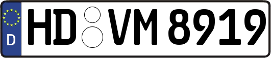 HD-VM8919