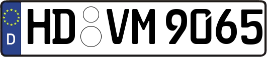HD-VM9065