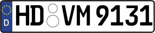 HD-VM9131