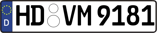 HD-VM9181