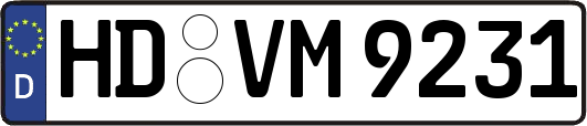 HD-VM9231