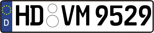 HD-VM9529