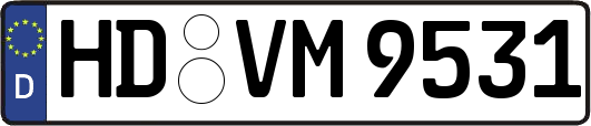 HD-VM9531