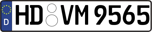 HD-VM9565