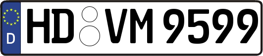 HD-VM9599