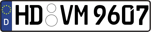 HD-VM9607