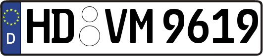HD-VM9619