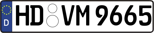 HD-VM9665