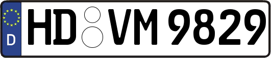 HD-VM9829