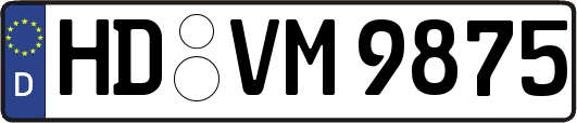 HD-VM9875