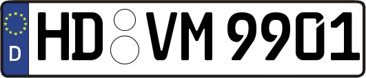 HD-VM9901