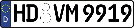 HD-VM9919