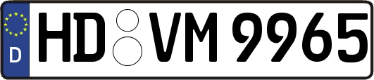 HD-VM9965
