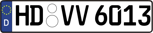 HD-VV6013
