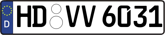 HD-VV6031