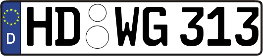 HD-WG313