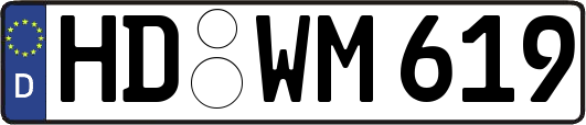 HD-WM619